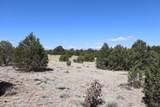  River Ridge Ranch - Photo 11