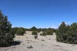 River Ridge Ranch - Photo 12