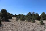  River Ridge Ranch - Photo 13