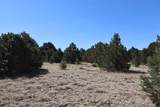  River Ridge Ranch - Photo 14