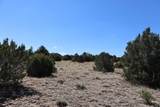  River Ridge Ranch - Photo 16