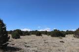  River Ridge Ranch - Photo 17