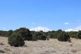  River Ridge Ranch - Photo 19