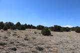  River Ridge Ranch - Photo 21