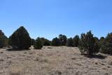  River Ridge Ranch - Photo 22