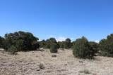  River Ridge Ranch - Photo 24
