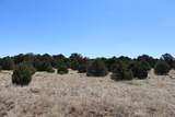  River Ridge Ranch - Photo 30