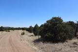  River Ridge Ranch - Photo 32