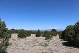  River Ridge Ranch - Photo 4