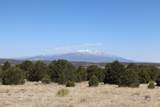  River Ridge Ranch - Photo 5