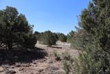  River Ridge Ranch - Photo 9