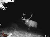  Co-12 - Photo 20