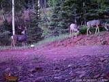  Co-12 - Photo 22