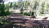  Co-12 - Photo 23
