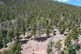  Co-12 - Photo 7