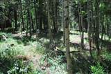  Aspen Road - Photo 1