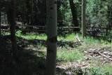  Aspen Road - Photo 4