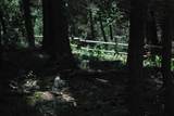  Aspen Road - Photo 5