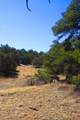 TBD County Road 634.2 - Photo 19