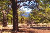 TBD County Road 634.2 - Photo 24