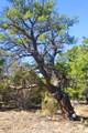 TBD County Road 634.2 - Photo 25