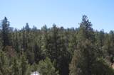 TBD County Road 634.2 - Photo 26