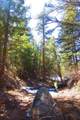 TBD County Road 634.2 - Photo 28