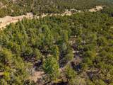 TBD County Road 634.2 - Photo 42