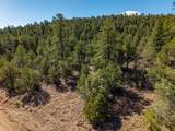 TBD County Road 634.2 - Photo 46