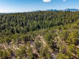 TBD County Road 634.2 - Photo 47