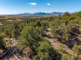 TBD County Road 634.2 - Photo 48
