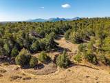 TBD County Road 634.2 - Photo 50