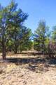 TBD County Road 634.2 - Photo 7