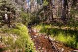 000 County Road 46 - Photo 1