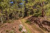 000 County Road 46 - Photo 14