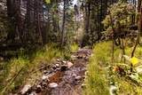 000 County Road 46 - Photo 15