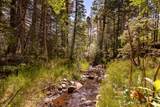 000 County Road 46 - Photo 16