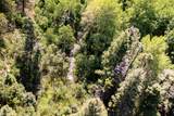 000 County Road 46 - Photo 17
