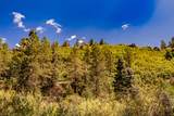 000 County Road 46 - Photo 6