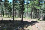 TBD Cougar Ridge - Photo 4