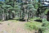 TBD Cougar Ridge - Photo 5