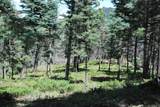 TBD Cougar Ridge - Photo 6
