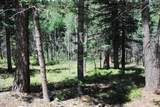 TBD Cougar Ridge - Photo 8