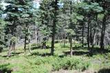 TBD Cougar Ridge - Photo 9