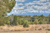 139 Antelope Loop - Photo 44