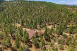7880 Old Sopris Rd - Photo 40