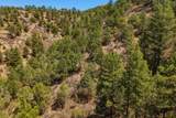 7880 Old Sopris Rd - Photo 41