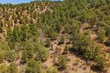 7880 Old Sopris Rd - Photo 42