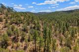 7880 Old Sopris Rd - Photo 43