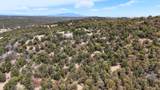  Rolling Hills Dr - Photo 15